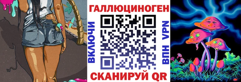 Галлюциногенные грибы GOLDEN TEACHER  Бабаево 