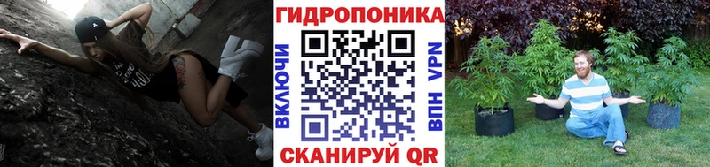 МАРИХУАНА ГИДРОПОН  купить наркотики сайты  Бабаево 